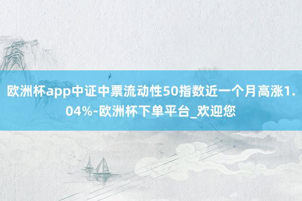 欧洲杯app中证中票流动性50指数近一个月高涨1.04%-欧洲杯下单平台_欢迎您