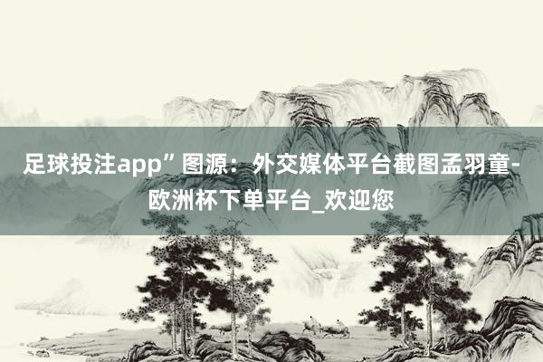 足球投注app”图源：外交媒体平台截图孟羽童-欧洲杯下单平台_欢迎您