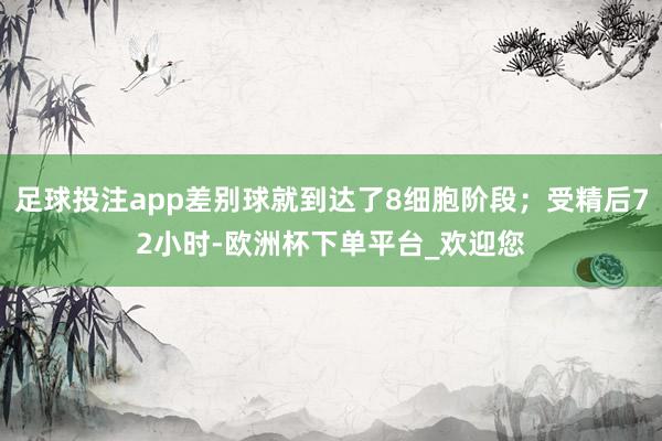 足球投注app差别球就到达了8细胞阶段；受精后72小时-欧洲杯下单平台_欢迎您