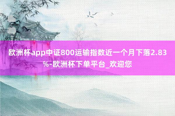 欧洲杯app中证800运输指数近一个月下落2.83%-欧洲杯下单平台_欢迎您