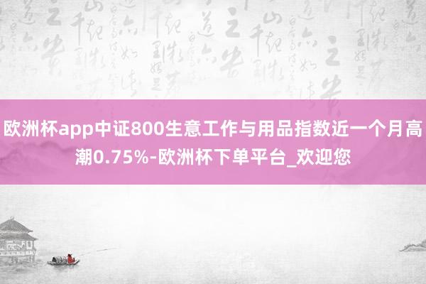 欧洲杯app中证800生意工作与用品指数近一个月高潮0.75%-欧洲杯下单平台_欢迎您